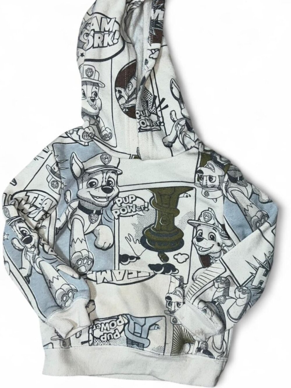 Paw Patrol Toddler Youth Hooded Sweatshirt